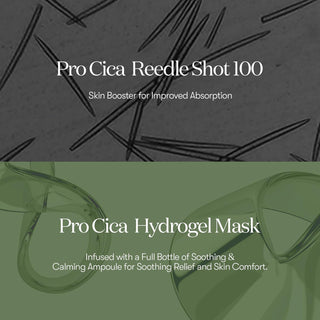 VT Pro Cica Reedle Shot 100 2Step Hydrogel Mask (4 pieces)