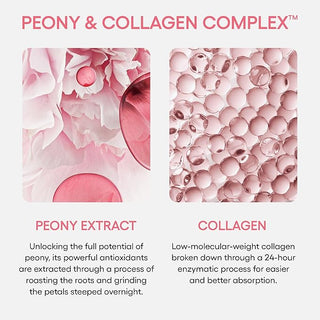 LANEIGE Bouncy & Firm Sleeping Mask 60ml